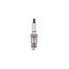 Spark Plug for GM Engine